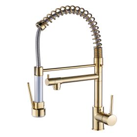 New Single Handle kitchen faucet with pull-down kitchen faucet Gold